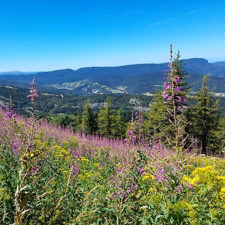 شقة Duplex 59M2 - Proche Centre - Balcon Plein Sud Corrençon-en-Vercors المظهر الخارجي الصورة