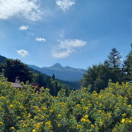 شقة Duplex 59M2 - Proche Centre - Balcon Plein Sud Corrençon-en-Vercors المظهر الخارجي الصورة