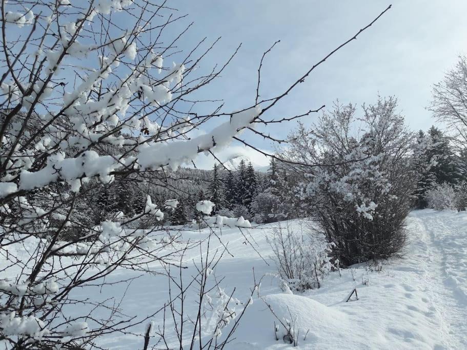 شقة Duplex 59M2 - Proche Centre - Balcon Plein Sud Corrençon-en-Vercors المظهر الخارجي الصورة