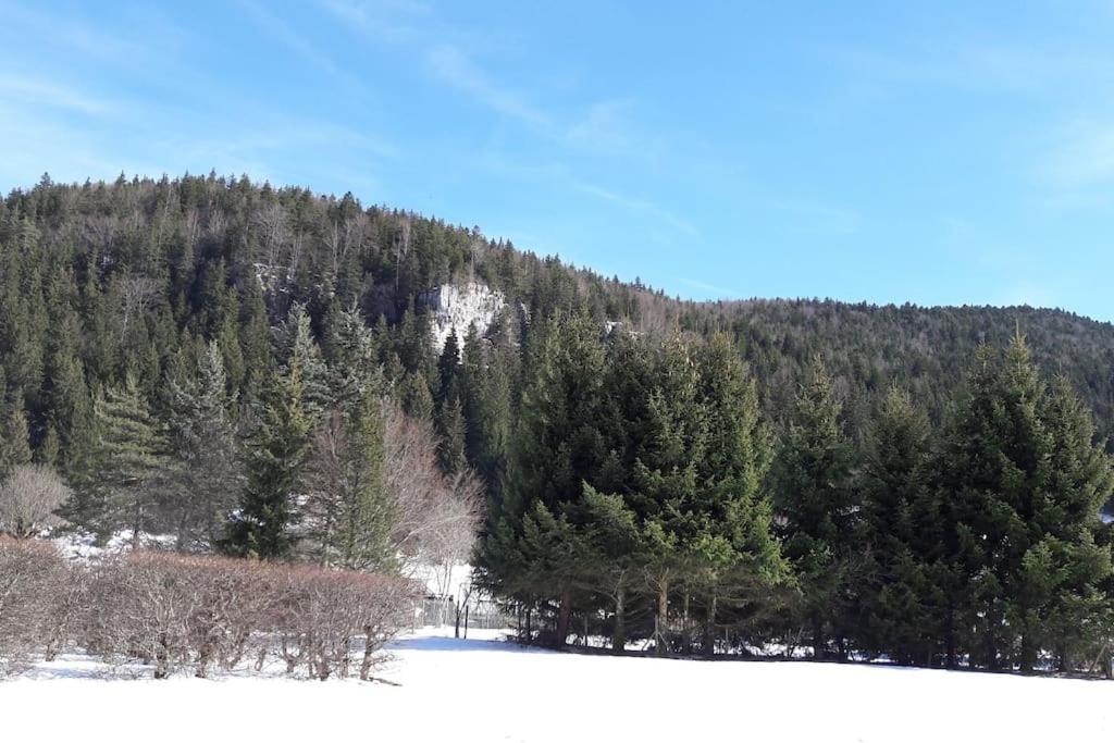 شقة Duplex 59M2 - Proche Centre - Balcon Plein Sud Corrençon-en-Vercors المظهر الخارجي الصورة