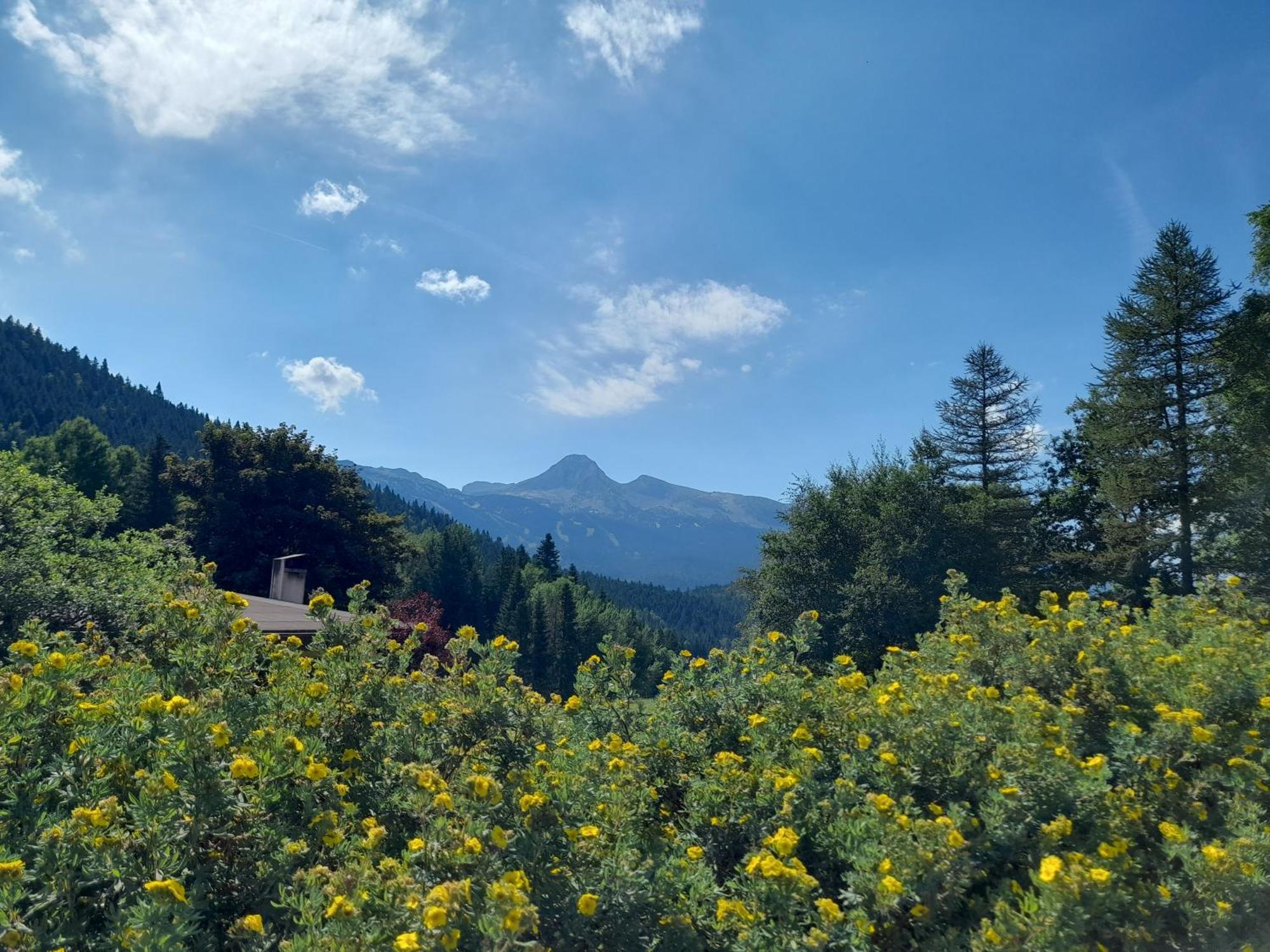 شقة Duplex 59M2 - Proche Centre - Balcon Plein Sud Corrençon-en-Vercors المظهر الخارجي الصورة